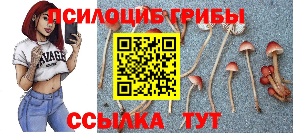 Кумертау  Псилоцибиновые грибы Psilocybine cubensis  Вход с VPN 